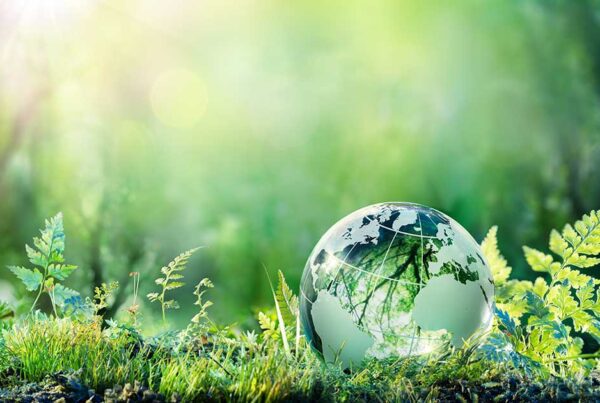 Installatore green, perchè aderire al progetto | Sir Comm Srl