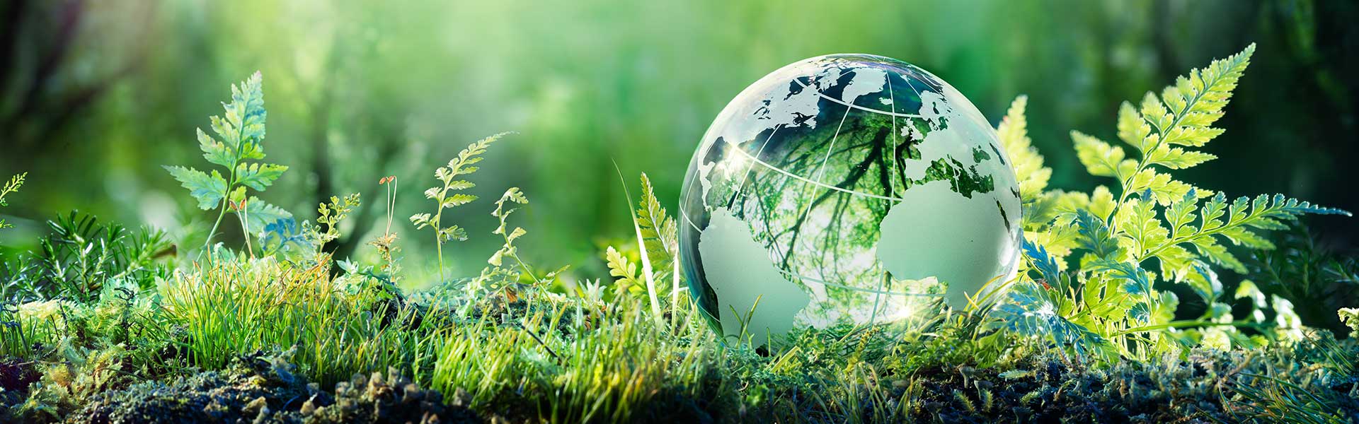 Economia circolare<br>Perché aderire al progetto Installatore Green?